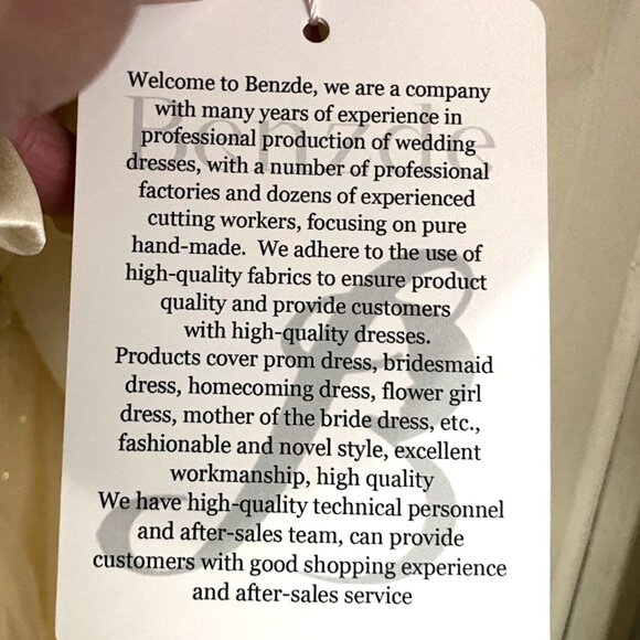 Ivory & Cream Lace & Tulle Short Dress With Rhinestone Accents Size 8 Elegant NW - Picture 13 of 13